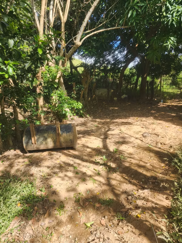 VENDO FINCA EN LOS RINCONES, CORREGIMIENTO DEL CRISTO EN AGUADULCE