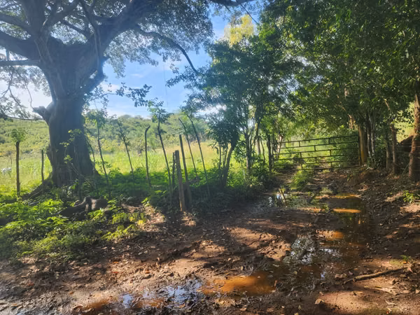 VENDO FINCA EN LOS RINCONES, CORREGIMIENTO DEL CRISTO EN AGUADULCE