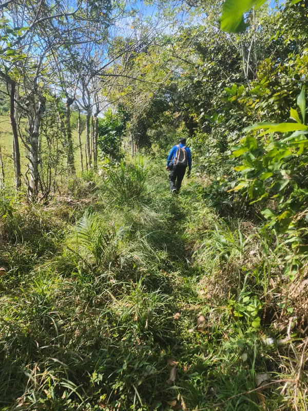 VENDO FINCA EN LOS RINCONES, CORREGIMIENTO DEL CRISTO EN AGUADULCE
