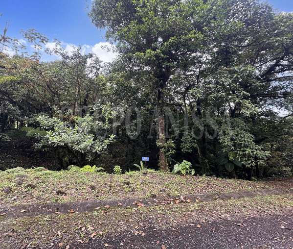 Oportunidad! Se vende amplio terreno en Galicia, Altos del Maria