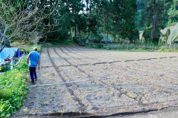Lote bajo Cerro Punta, Volcán
