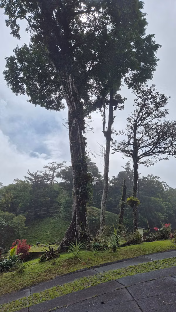 Chalet-Style Mountain Home for Sale in Altos del María, Panama | 3 Bedrooms | Stunning Views