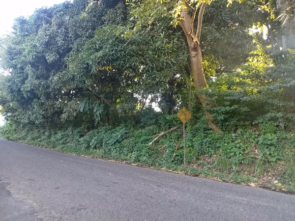 For sale a 5,000 sq m of land 230 meters away of the North Corridor - Rana De Oro
