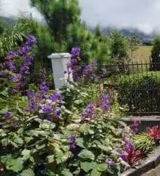 Residencia de 2 recamaras + 2 baños, Sin amoblar Volcán Tierras Altas