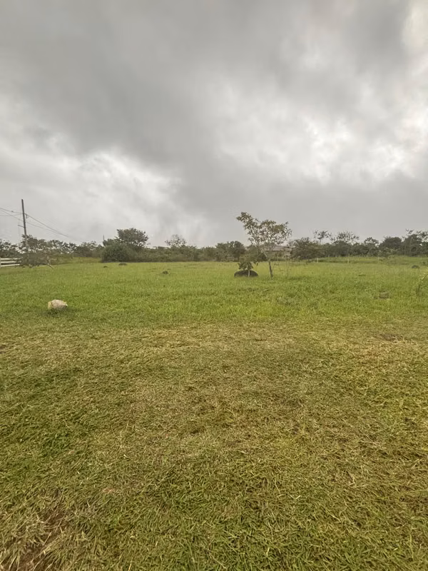 Lot for sale in Potrerillos Abajo Chiriqui