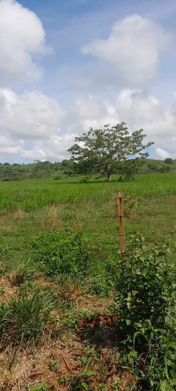 $5,500 PER HECTARE FOR SALE 644+1,936 MTS2 IN SANTA BARBARA