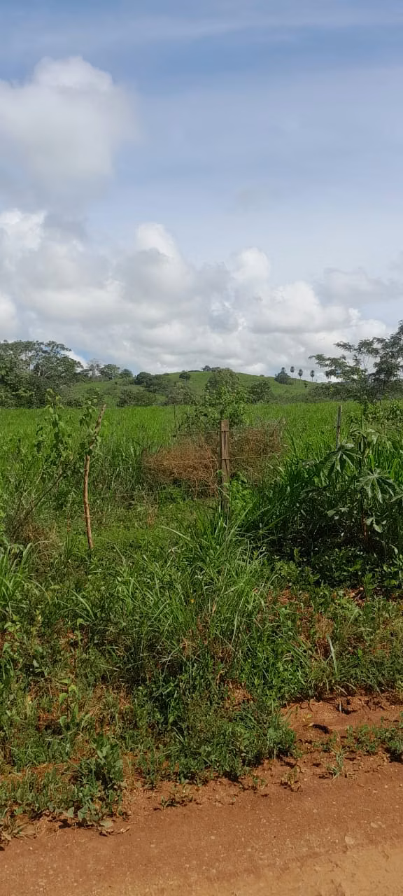$5,500 PER HECTARE FOR SALE 644+1,936 MTS2 IN SANTA BARBARA