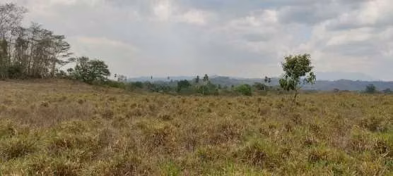 $5,500 PER HECTARE FOR SALE 644+1,936 MTS2 IN SANTA BARBARA