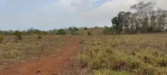 $5,500 PER HECTARE FOR SALE 644+1,936 MTS2 IN SANTA BARBARA