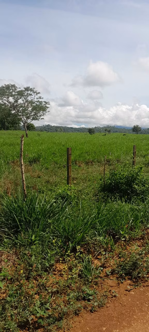 $5,500 PER HECTARE FOR SALE 644+1,936 MTS2 IN SANTA BARBARA
