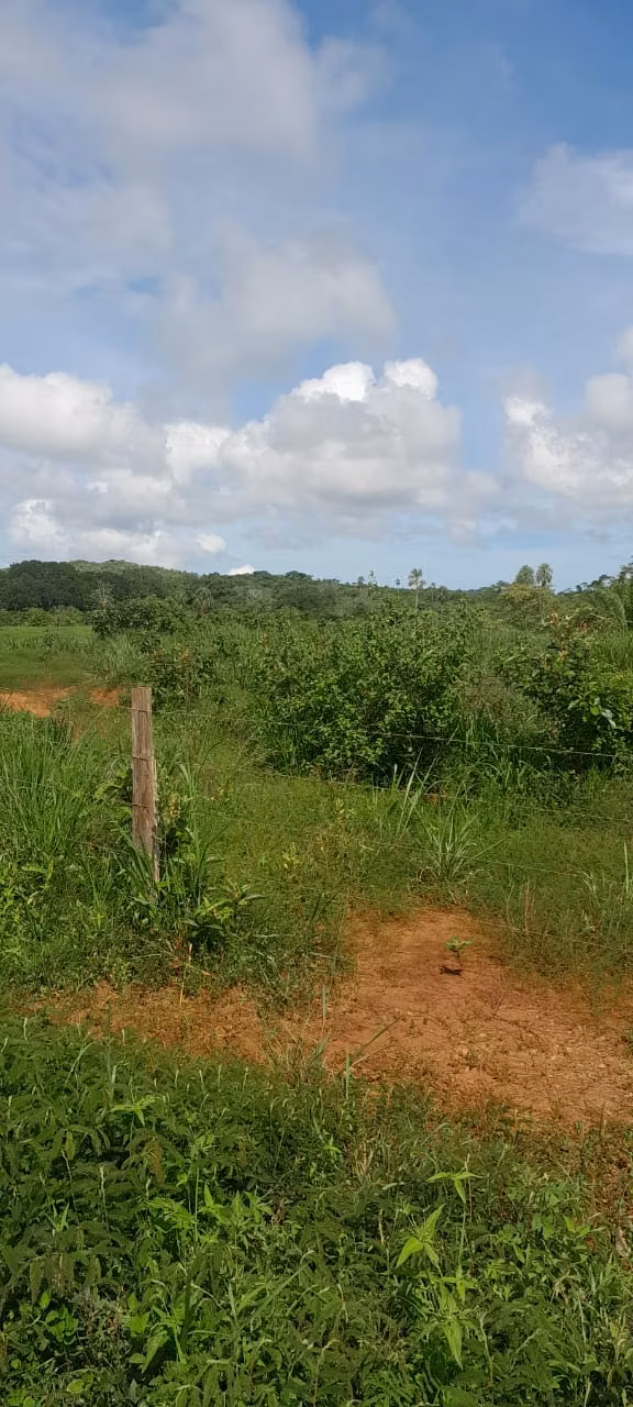 $5,500 PER HECTARE FOR SALE 644+1,936 MTS2 IN SANTA BARBARA