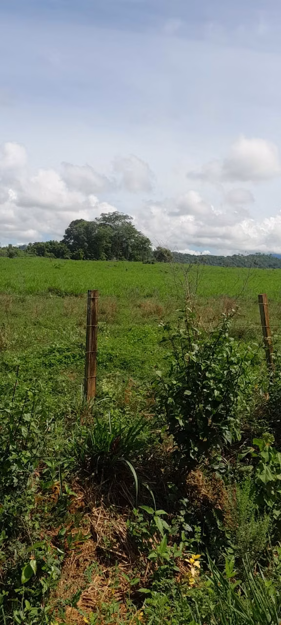 $5,500 PER HECTARE FOR SALE 644+1,936 MTS2 IN SANTA BARBARA