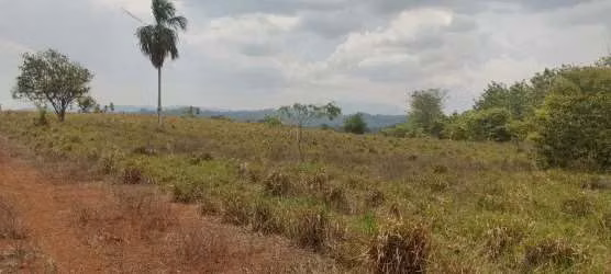 $5,500 PER HECTARE FOR SALE 644+1,936 MTS2 IN SANTA BARBARA