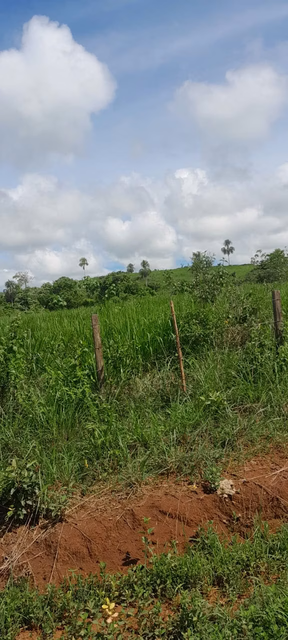 $5,500 PER HECTARE FOR SALE 644+1,936 MTS2 IN SANTA BARBARA