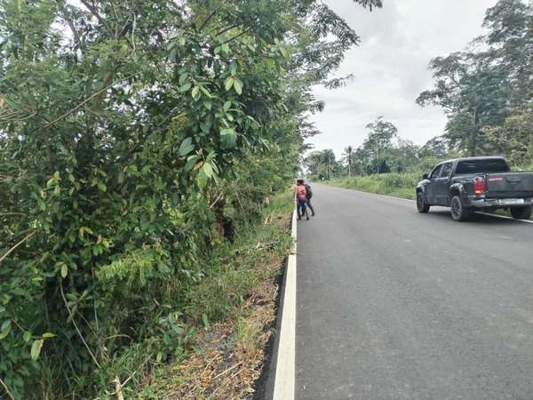 It is sold 195 hectares in Changuinola cattle 6,000 hectares a hectare