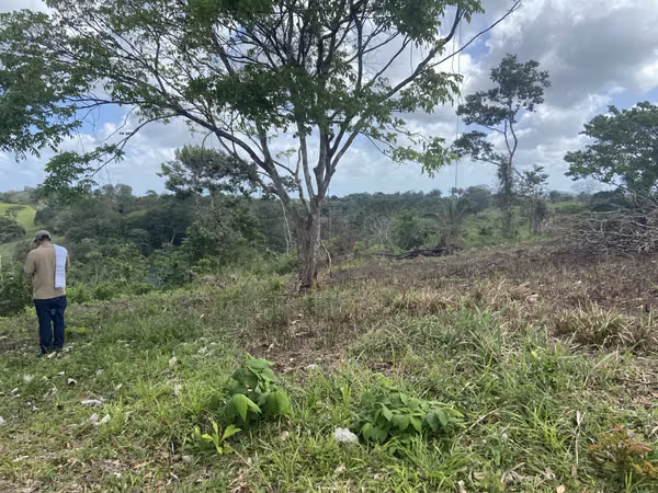2.3 HECTARE FARM AT USD10 PER M2 EXCELLENT INVESTMENT