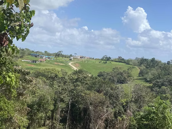 2.3 HECTARE FARM AT USD10 PER M2 EXCELLENT INVESTMENT