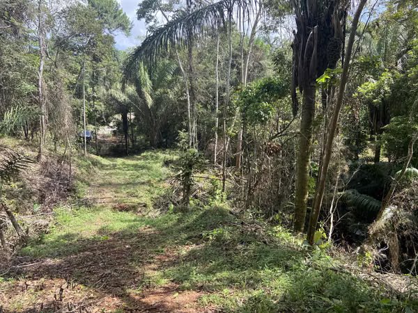 2.3 HECTARE FARM AT USD10 PER M2 EXCELLENT INVESTMENT