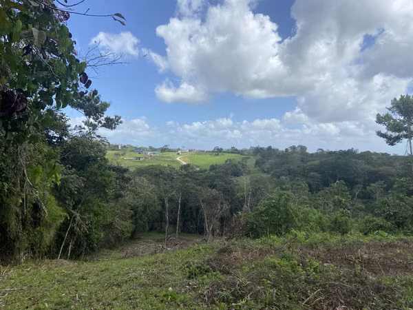 2.3 HECTARE FARM AT USD10 PER M2 EXCELLENT INVESTMENT