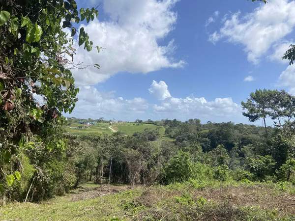 2.3 HECTARE FARM AT USD10 PER M2 EXCELLENT INVESTMENT