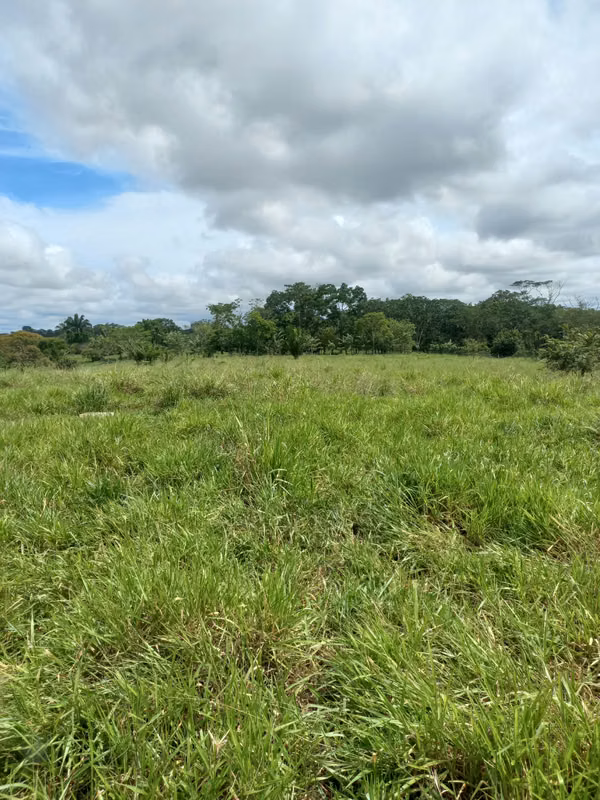 For sale: 270.6 ha – segregations possible – $7,500/ha – negotiable – Metetí, Darién.