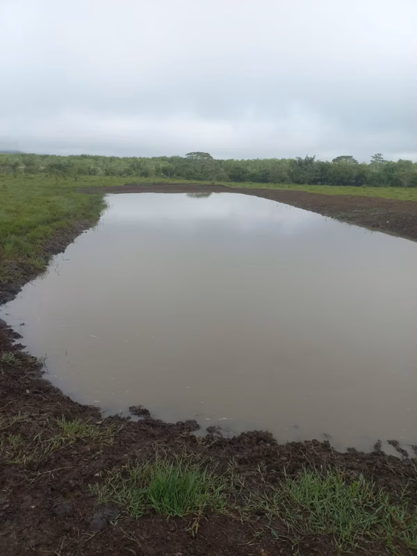 For sale: 270.6 ha – segregations possible – $7,500/ha – negotiable – Metetí, Darién.