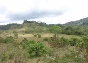 $2,500,000 NEGOTIABLE FOR SALE 378 HECTARES IN BARU PROVINCE CHIRIQUI