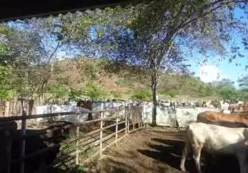 $2,500,000 NEGOTIABLE FOR SALE 378 HECTARES IN BARU PROVINCE CHIRIQUI