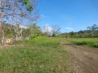 $2,500,000 NEGOTIABLE FOR SALE 378 HECTARES IN BARU PROVINCE CHIRIQUI
