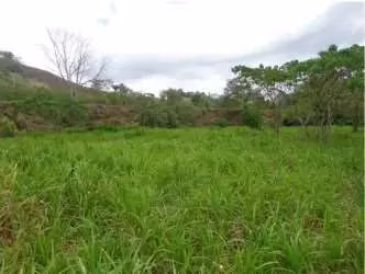 $2,500,000 NEGOTIABLE FOR SALE 378 HECTARES IN BARU PROVINCE CHIRIQUI