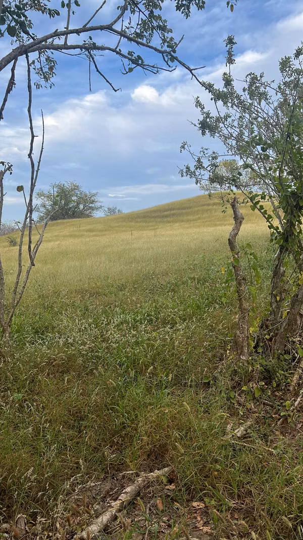 Venta de finca Sabana Grande, Provincia de Los Santos