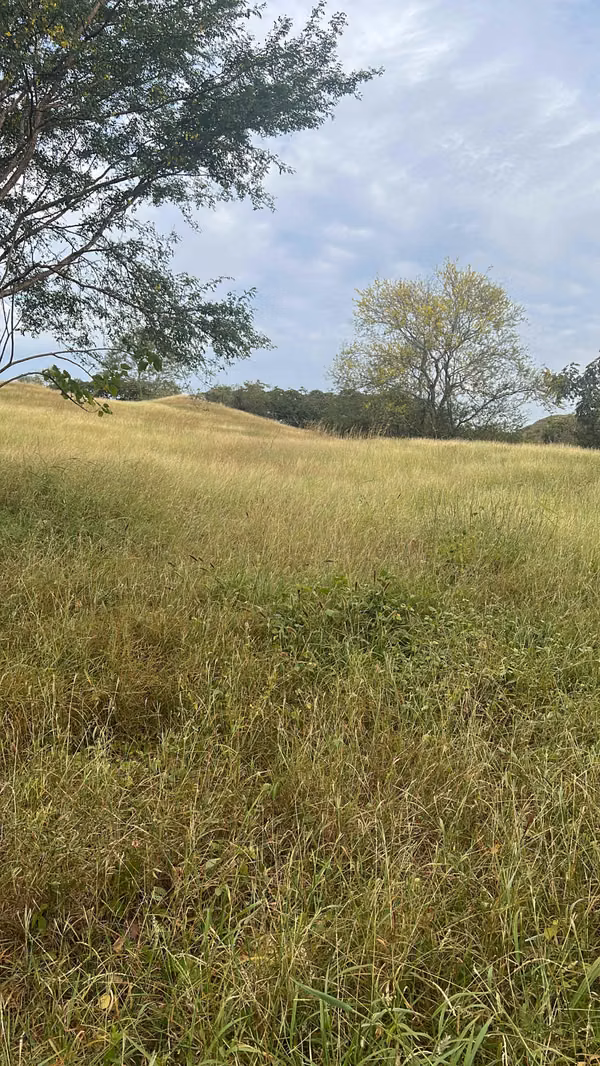 Venta de finca Sabana Grande, Provincia de Los Santos