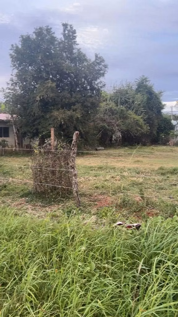 SE VENDE LOTES RESIDENCIALES EN GUARARE.