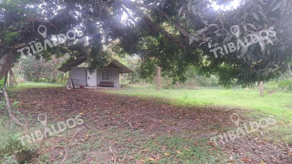 Sale of Land in Juan Hombron
