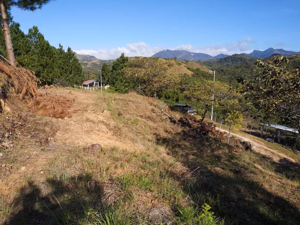 LOTES DE TERRENO / MINI FINCAS REFORESTADAS LA POMA ESTATES