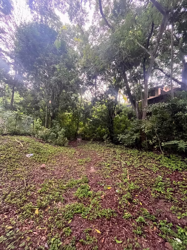 Venta de Terreno con Oportunidad Única de Inversión y/o Recreacional