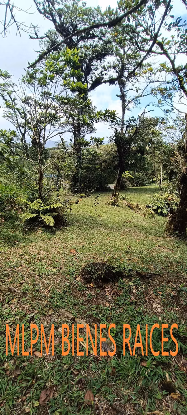 Land for Sale in Altos del Maria La Rioca
