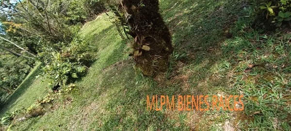 Land for Sale in Altos del Maria La Rioca