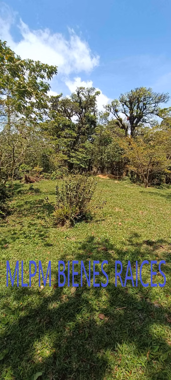 Land for Sale in Altos del Maria La Rioca