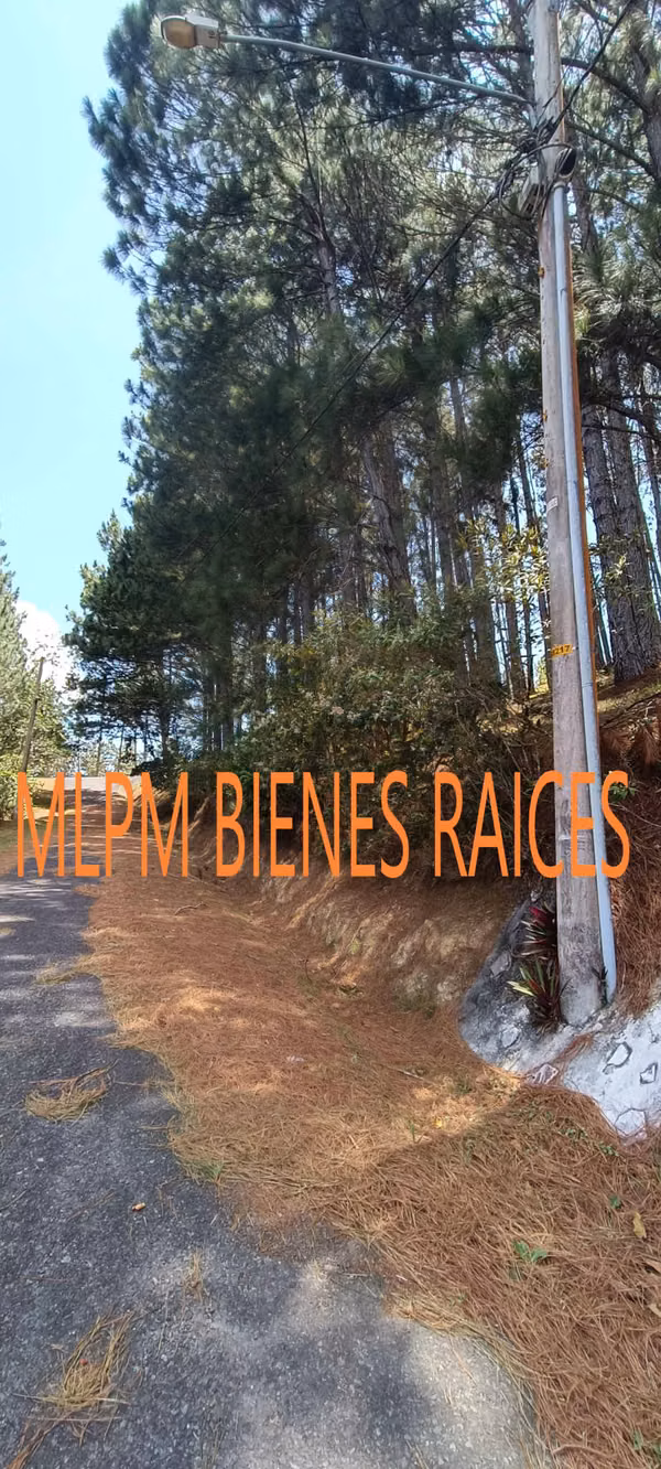 Land for sale in Altos del Maria in Triana