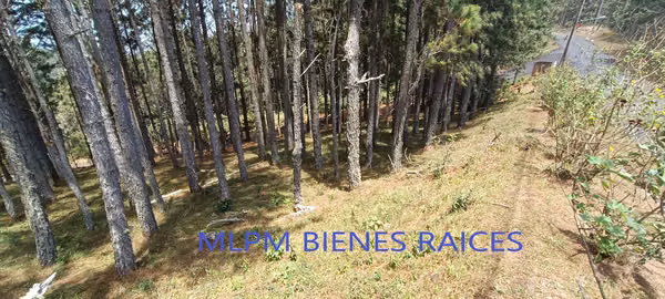 Land for sale in Altos del Maria in Triana