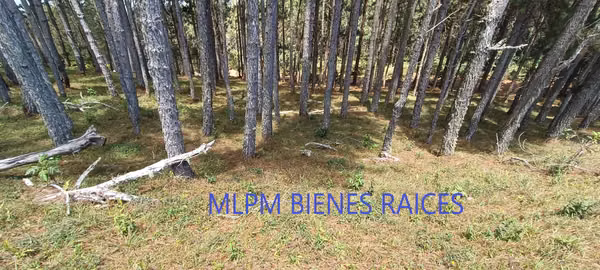 Land for sale in Altos del Maria in Triana