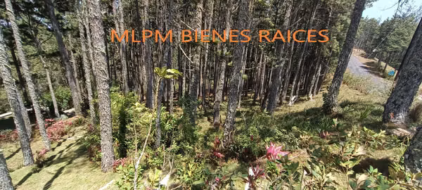 Land for sale in Altos del Maria in Triana