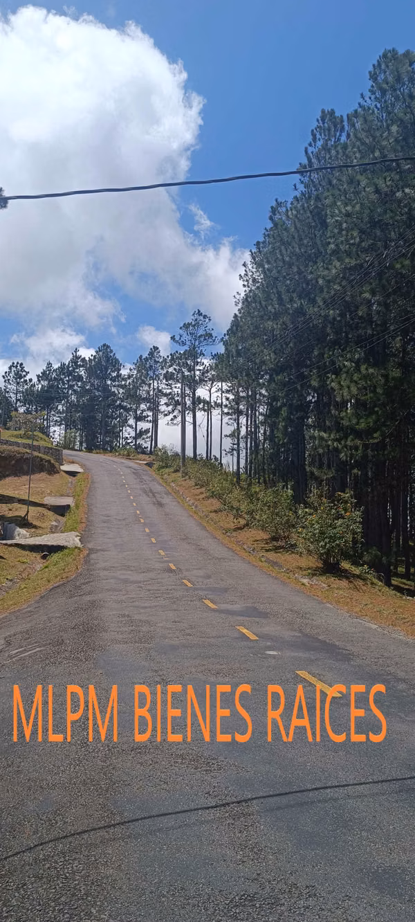 Land for sale in Altos del Maria in Triana