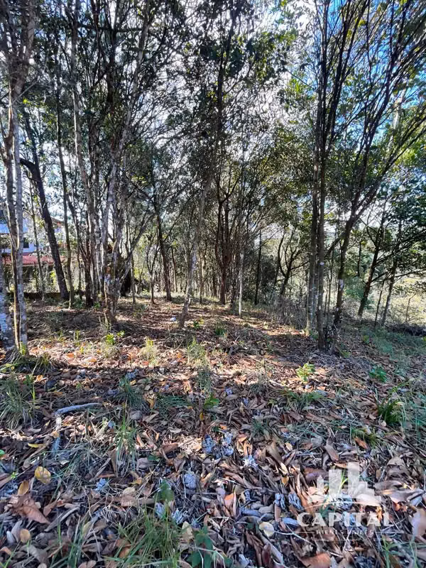 TERRENO EN CERRO AZUL