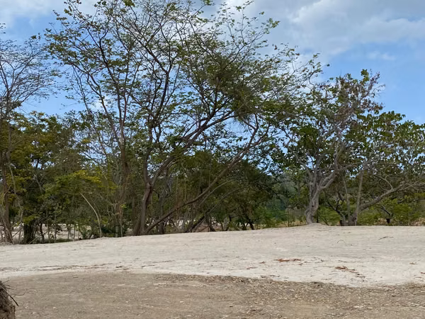 Finca de 8 Hectáreas en San Carlos - Con Frente de Río y Ubicación Estratégica