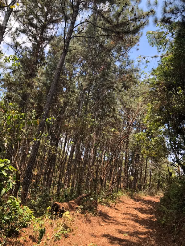 23 Hectáreas de Naturaleza y Vistas Únicas Paraíso Privado en Cerro Azul