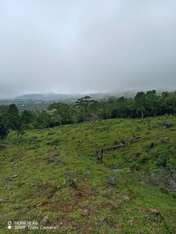 Vendo finca 4.5 hectáreas alto de jaramillo, boquete