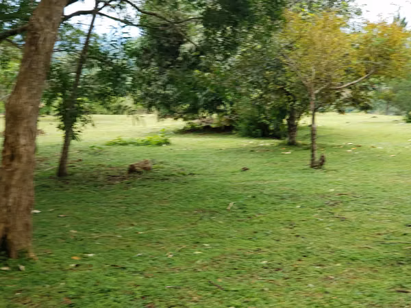 Vendo 5000 mt2 con Casita. Espectacular vista al mar y montaña!