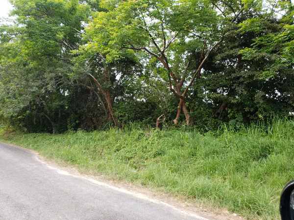 Vendo finca de 11,3 Hectáreas. Titulada, Santa Maria Via La Pintada.